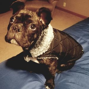 Meet your Posher, Joleen